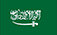 https://sa.guodaeyewear.com